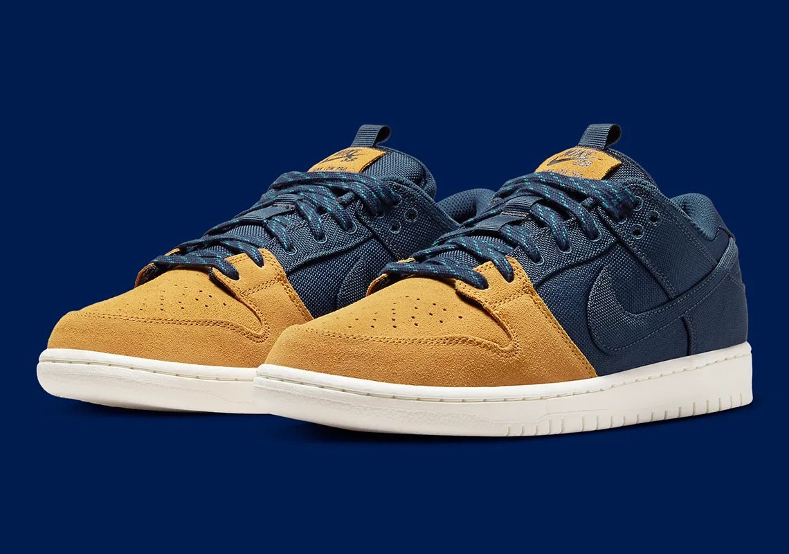 Nike SB Dunk Low PRO Back Pack