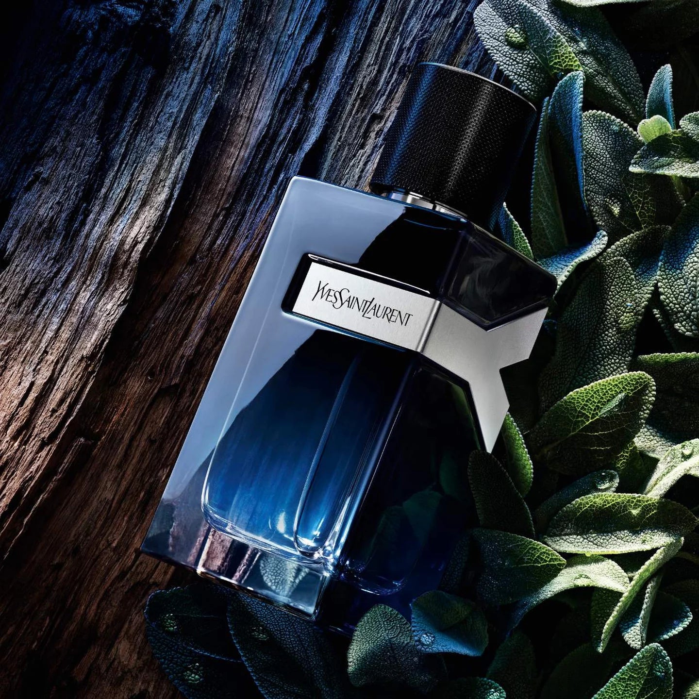 Yves Saint Laurent Y EDP