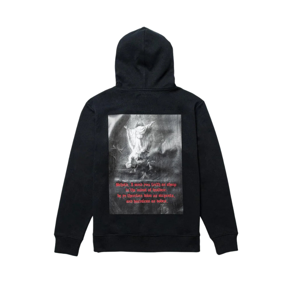 DCPL HOODIE MATHEW 10:16