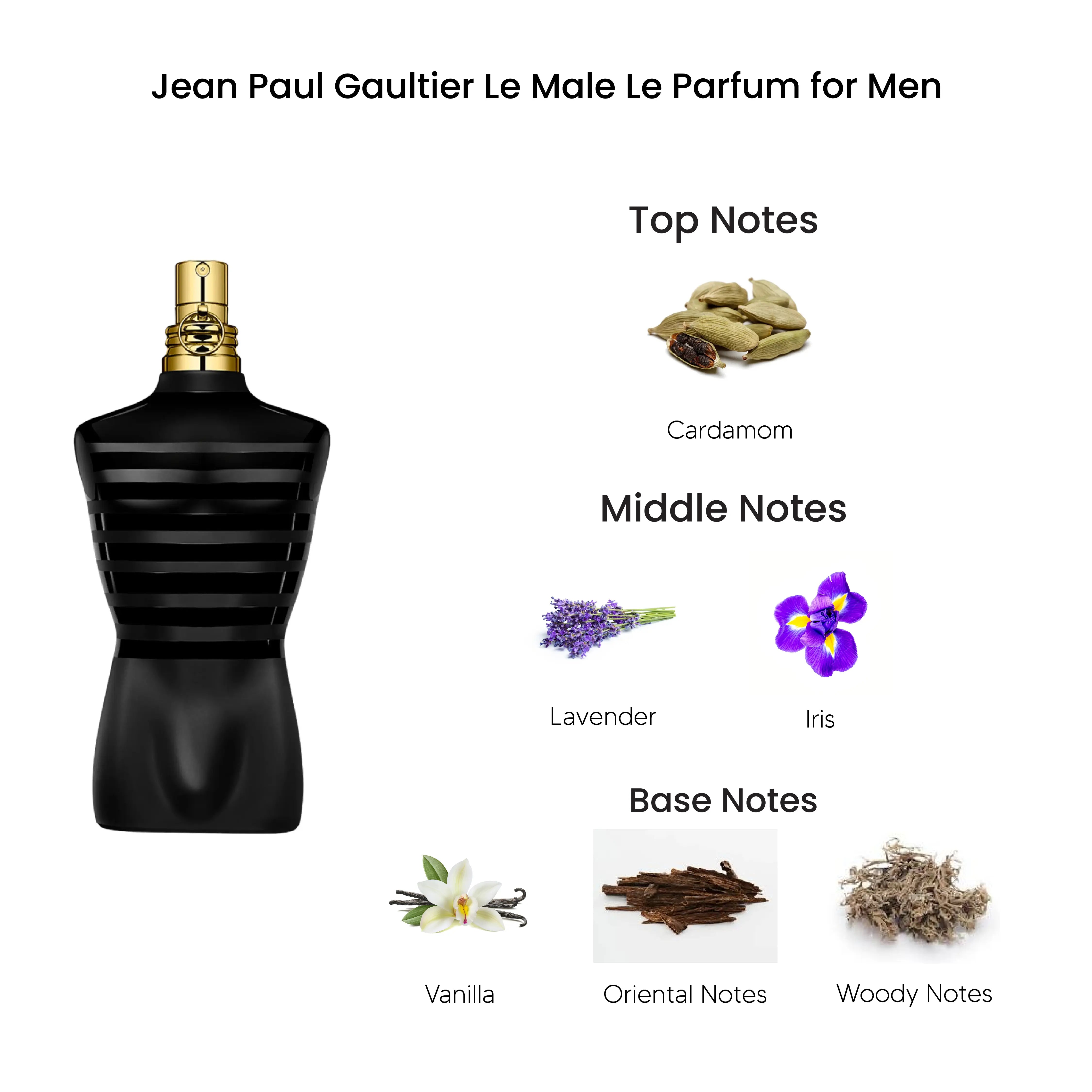 Jean Paul Le Male Le Parfum 4.2 FLoz